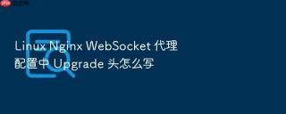 linux nginx websocket 代理配置中 upgrade 头怎么写