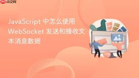 javascript 中怎么使用 websocket 发送和接收文本消息数据
