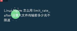 Linux Nginx 怎么用 limit_rate_after 设置大文件传输前多少兆不限速