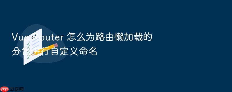 vue router 怎么为路由懒加载的分包进行自定义命名