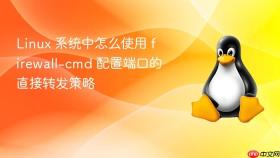 linux 系统中怎么使用 firewall-cmd 配置端口的直接转发策略