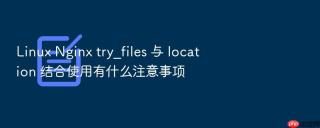 Linux Nginx try_files 与 location 结合使用有什么注意事项