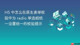 h5 中怎么在原生表单校验中为 radio 单选组统一设置统一的校验提示