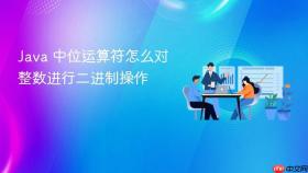 java 中位运算符怎么对整数进行二进制操作