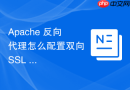 Apache 反向代理怎么配置双向 SSL 证书安全认证