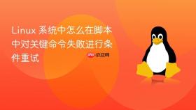 linux 系统中怎么在脚本中对关键命令失败进行条件重试
