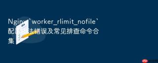 nginx `worker_rlimit_nofile`配置语法错误及常见排查命令合集