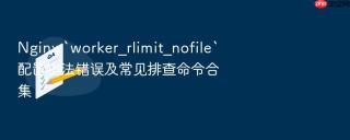 Nginx `worker_rlimit_nofile`配置语法错误及常见排查命令合集