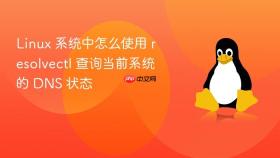 linux 系统中怎么使用 resolvectl 查询当前系统的 dns 状态