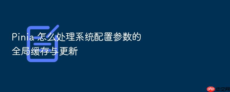 pinia 怎么处理系统配置参数的全局缓存与更新