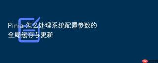 Pinia 怎么处理系统配置参数的全局缓存与更新