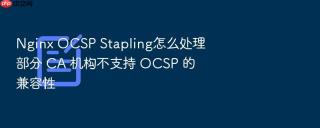 Nginx OCSP Stapling怎么处理部分 CA 机构不支持 OCSP 的兼容性
