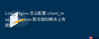 linux nginx 怎么配置 client_max_body_size 配合超时解决上传限制