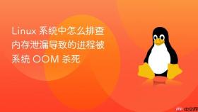 linux 系统中怎么排查内存泄漏导致的进程被系统 oom 杀死