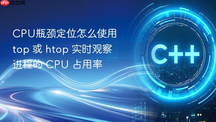 cpu瓶颈定位怎么使用 top 或 htop 实时观察进程的 cpu 占用率