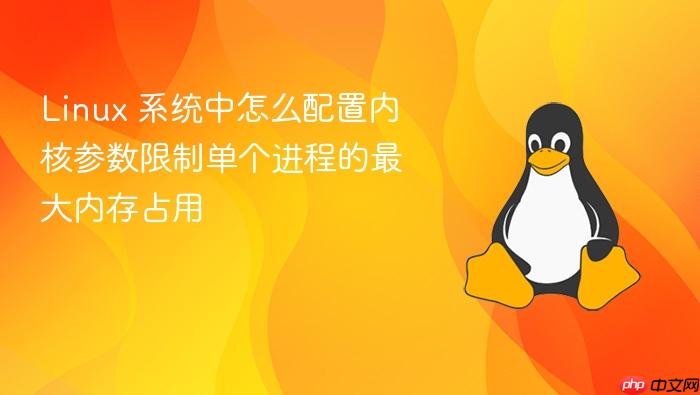 linux 系统中怎么配置内核参数限制单个进程的最大内存占用