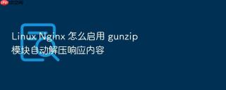 Linux Nginx 怎么启用 gunzip 模块自动解压响应内容