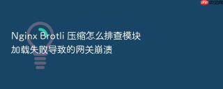 nginx brotli 压缩怎么排查模块加载失败导致的网关崩溃