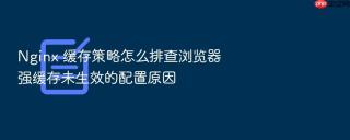 Nginx 缓存策略怎么排查浏览器强缓存未生效的配置原因