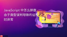 javascript 中怎么排查由于类型误判导致的运行时异常