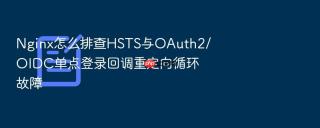 Nginx怎么排查HSTS与OAuth2/OIDC单点登录回调重定向循环故障