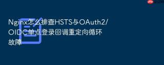 nginx怎么排查hsts与oauth2/oidc单点登录回调重定向循环故障