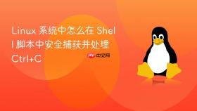 Linux 系统中怎么在 Shell 脚本中安全捕获并处理 Ctrl+C