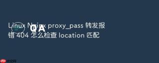 linux nginx proxy_pass 转发报错 404 怎么检查 location 匹配