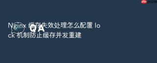 nginx 缓存失效处理怎么配置 lock 机制防止缓存并发重建