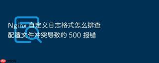 nginx 自定义日志格式怎么排查配置文件冲突导致的 500 报错