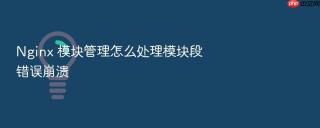 nginx 模块管理怎么处理模块段错误崩溃