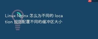 linux nginx 怎么为不同的 location 规则配置不同的缓冲区大小