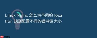 Linux Nginx 怎么为不同的 location 规则配置不同的缓冲区大小