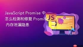 javascript promise 中怎么检测和修复 promise 内存泄漏隐患