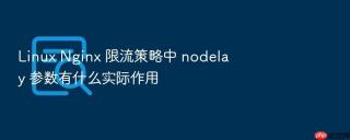 linux nginx 限流策略中 nodelay 参数有什么实际作用