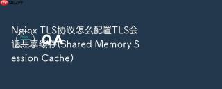 nginx tls协议怎么配置tls会话共享缓存(shared memory session cache)