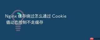 nginx 缓存绕过怎么通过 cookie 值动态控制不走缓存