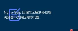 Nginx Gzip 压缩怎么解决移动端浏览器不支持压缩的问题