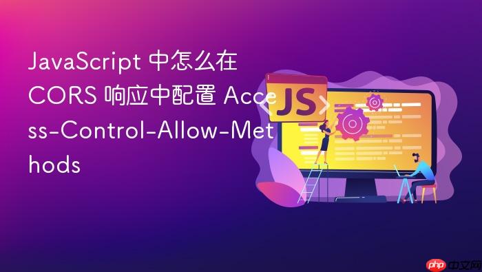 javascript 中怎么在 cors 响应中配置 access-control-allow-methods