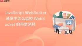 JavaScript WebSocket 通信中怎么监控 WebSocket 的带宽消耗