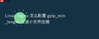 linux nginx 怎么配置 gzip_min_length 过滤小文件压缩