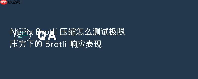 nginx brotli 压缩怎么测试极限压力下的 brotli 响应表现