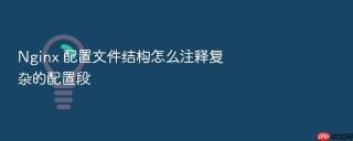 Nginx 配置文件结构怎么注释复杂的配置段