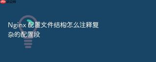 nginx 配置文件结构怎么注释复杂的配置段