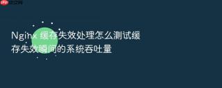Nginx 缓存失效处理怎么测试缓存失效瞬间的系统吞吐量