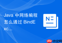 Java 中网络编程怎么通过 BindException 排查端口被占用问题