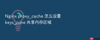 nginx proxy_cache 怎么设置 keys_zone 共享内存区域