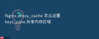 Nginx proxy_cache 怎么设置 keys_zone 共享内存区域