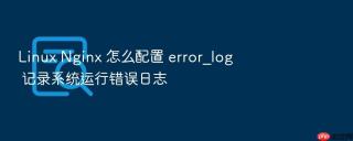 Linux Nginx 怎么配置 error_log 记录系统运行错误日志