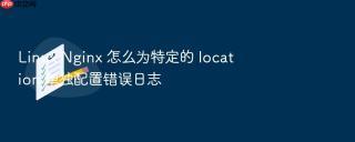 Linux Nginx 怎么为特定的 location 单独配置错误日志